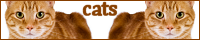 purrfect: cat fanlisting